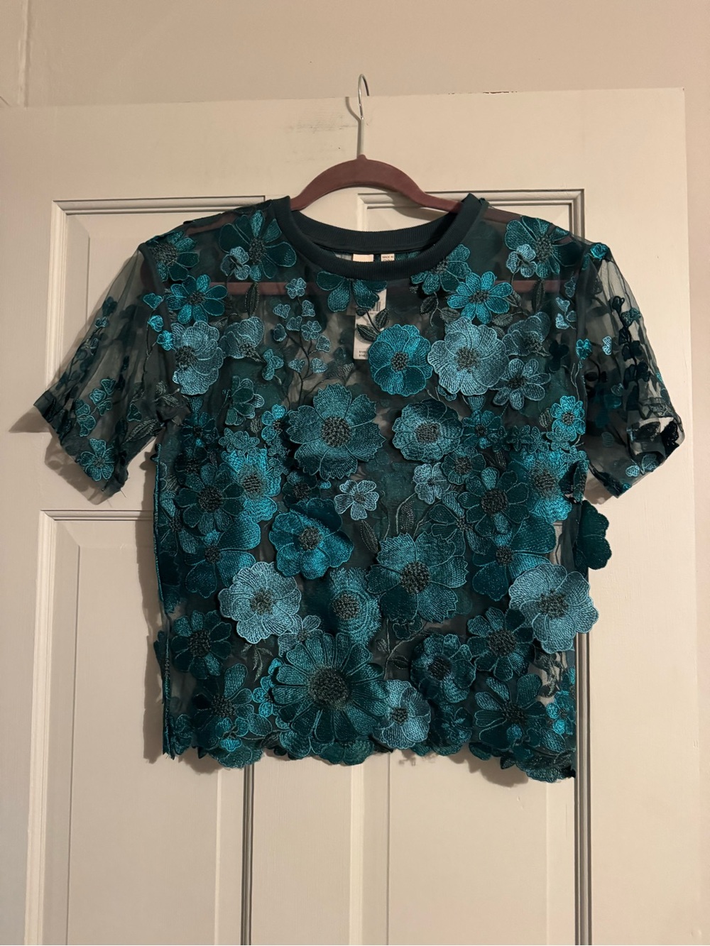 Anthropologie dolan Teal Floral Embroidered Sheer Top